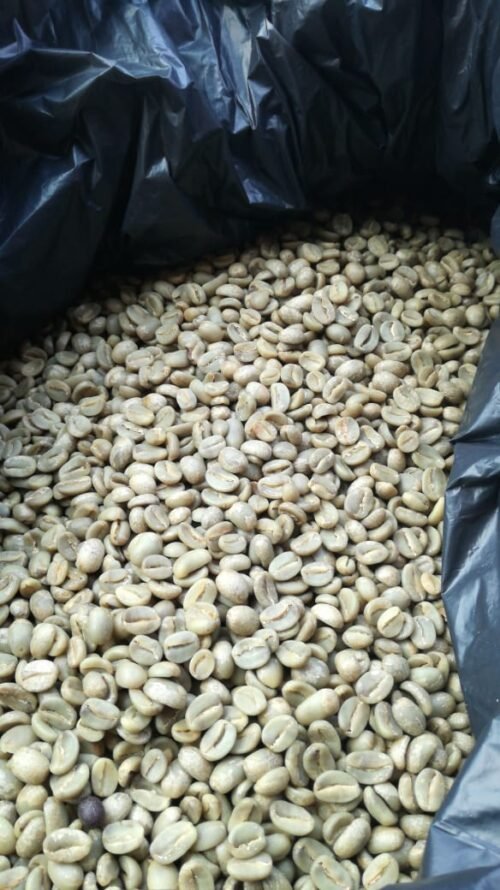 cafe-americano-verde-granel