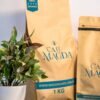cafe-magda1k cafe-magda1k