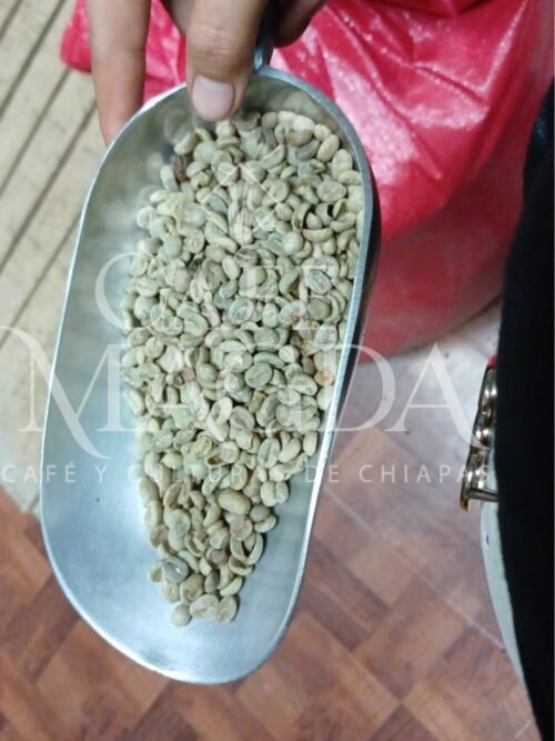 cafe-granel-verde