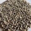Café de Especialidad Verde a granel