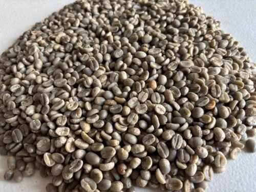 Café de Especialidad Verde a granel