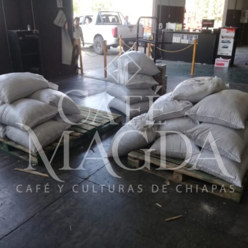 Café de Especialidad Verde a granel